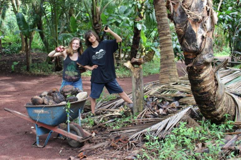 Paradise Eco Village Pahoa Εξωτερικό φωτογραφία