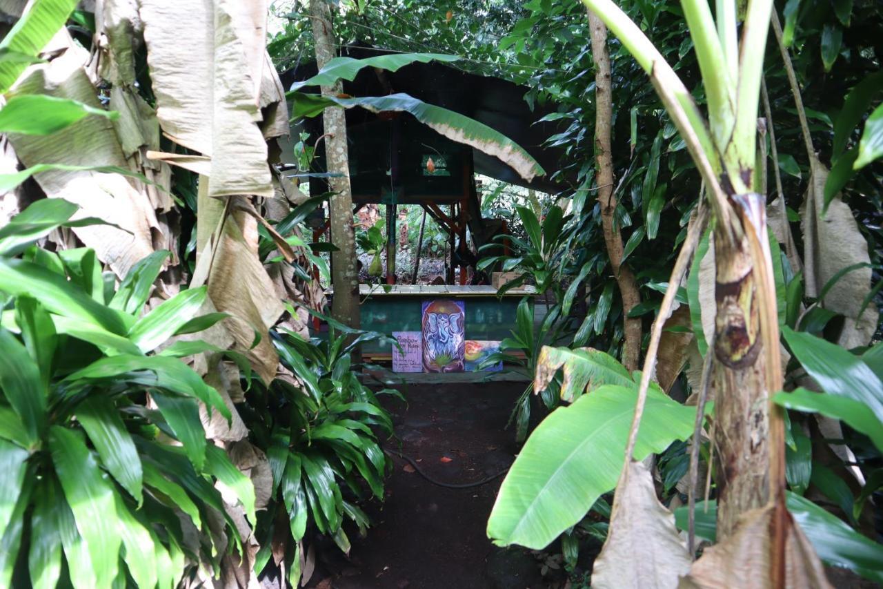 Paradise Eco Village Pahoa Εξωτερικό φωτογραφία