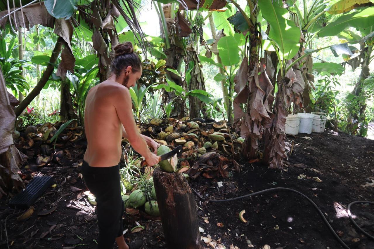 Paradise Eco Village Pahoa Εξωτερικό φωτογραφία